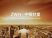 中植財富控股有限公司